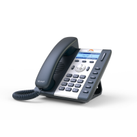 IP телефон Platan IP-T202G